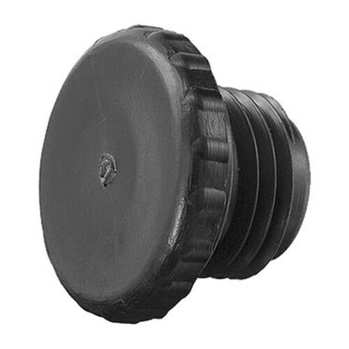 Pentair R172392 .25 MMPT Access Plug