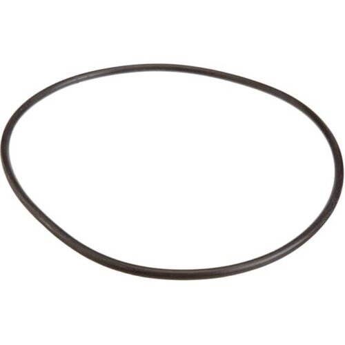 Pentair U9-199 PLBC Series Diffuser O-Ring