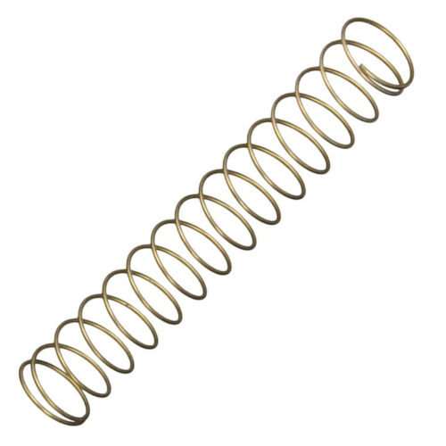 Pentair 072524 Ortega Check Valve