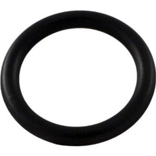 Pentair 14971-SM10E10 MPV O-Ring