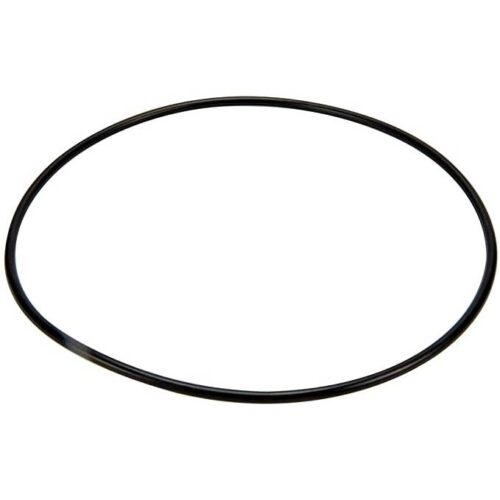 Pentair 14971-SM20E7 MPV Cover O-Ring
