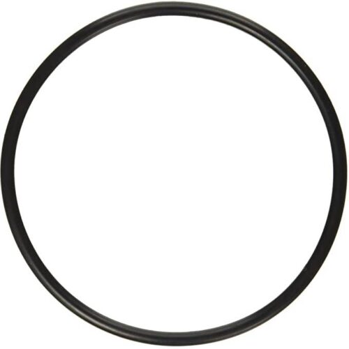 Pentair 272541 Valve Body O-Ring