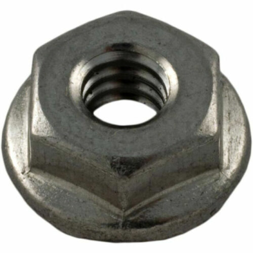 Pentair 272554 SS Serrated Flange Nut