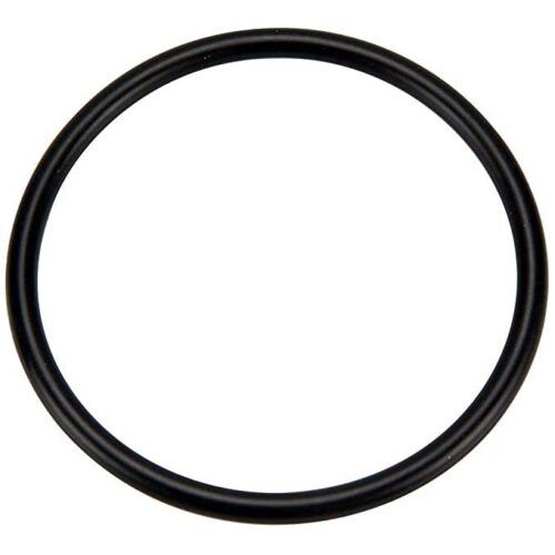 Pentair 273062 Slide Valve Plug/ Bulkhead O-Ring