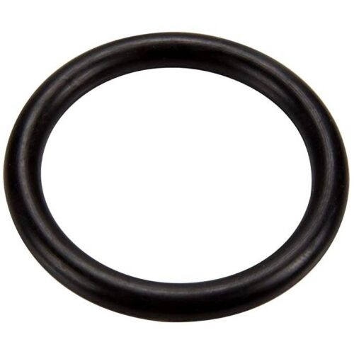 Pentair 273090 PVC Slide Valve Piston O-Ring