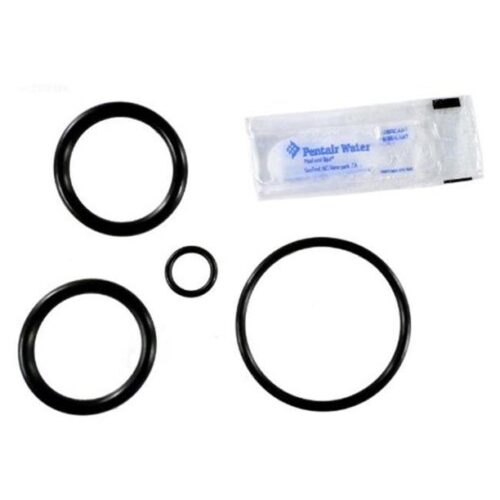 Pentair 273109 Slide Valve O-Ring Kit
