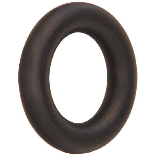 Pentair 273513 Air Bleeder Screw O-Ring