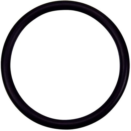Pentair 274494 Valve Adapter O-Ring