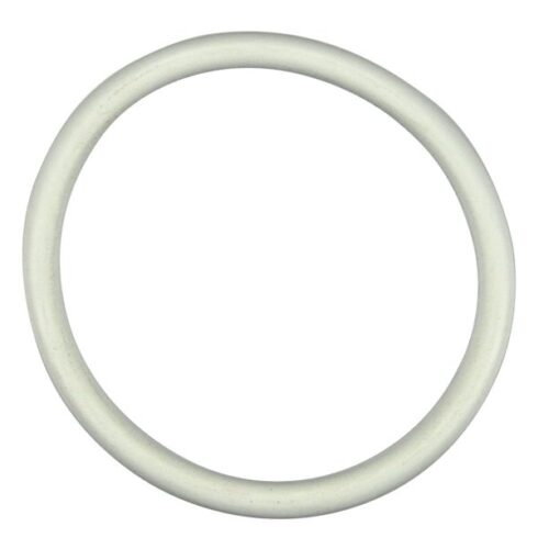 Pentair 274495 TR100C/TR140C Air Relief O-Ring