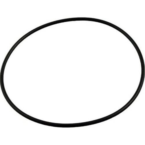 Pentair 275300 Fullflow Valve Top Insert Cap O-Ring