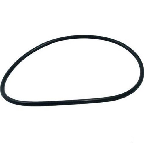 Pentair 275333 Tm Multiport Valve Body O-Ring