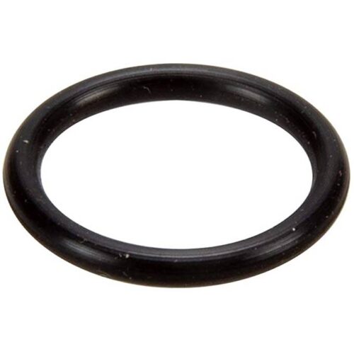 Pentair 35505-1116 Shaft O-Ring