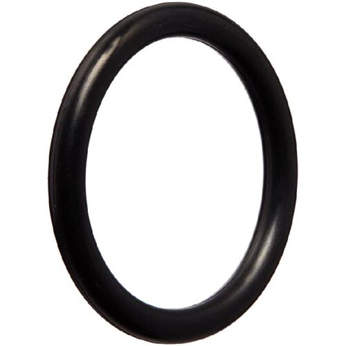 Pentair 35505-1313 Slide Valve Thermal Regulator Cap O-Ring