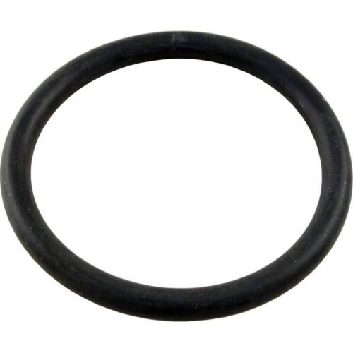 Pentair 35505-1318 O-Ring