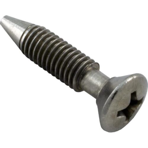 Pentair 37337-0079 Pool Light Retaining Screw
