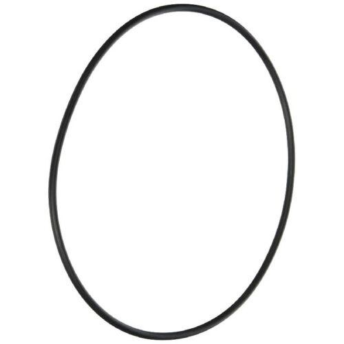 Pentair 50151700 MPV Lid O-Ring