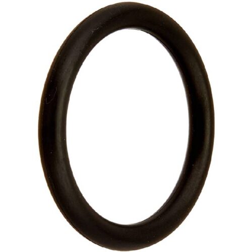 Pentair 51005000 Drain Cap O-Ring