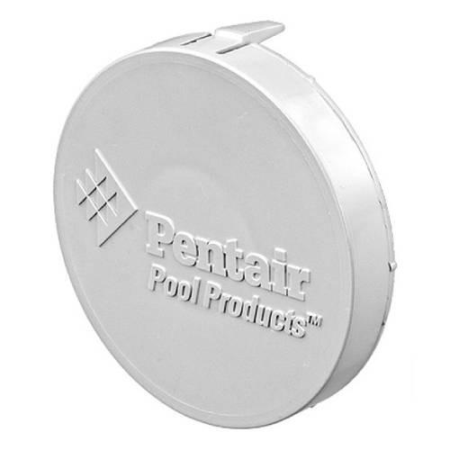 Pentair 510161 White Pentair Disk3