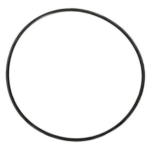 Pentair 51016200Z Diverter Valve Cover O-Ring