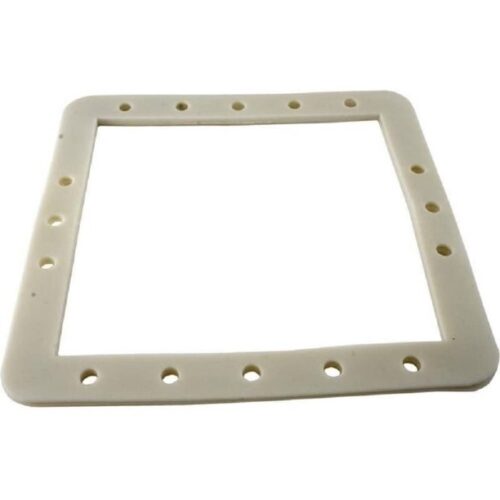 Pentair 513331 Hydroskim Gasket2