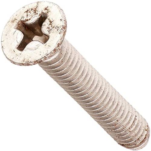 Pentair 516242 Bermuda SS Screw1