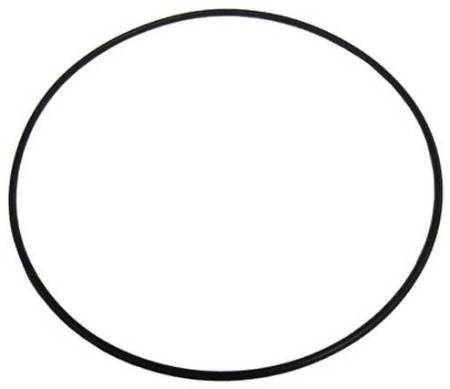 Pentair 516244 Float Valve O-Ring Main
