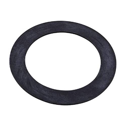 Pentair 552406 White Vinyl Wall Fitting Gasket2