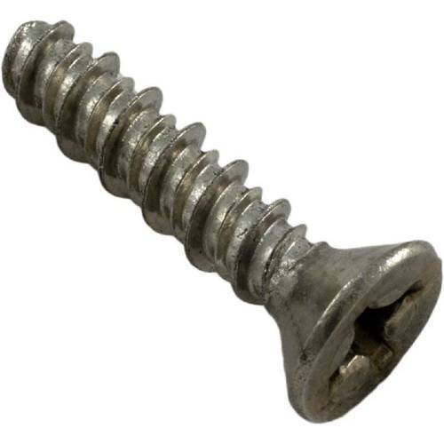 Pentair 98202900 Sealing Screw1