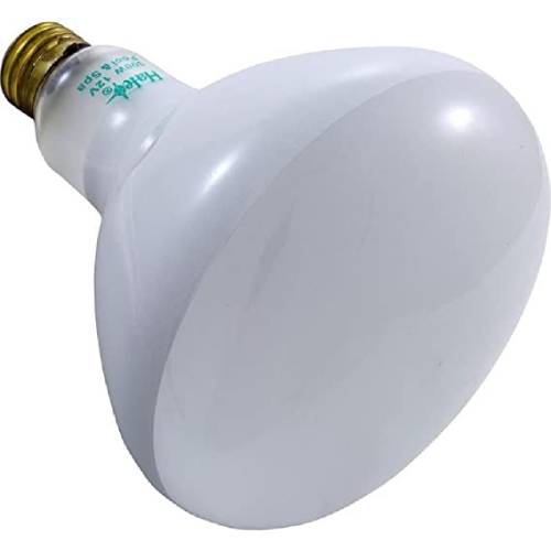 Halco R40FL300HG Medium Base Flood Bulb 300W 120V R401 (1)