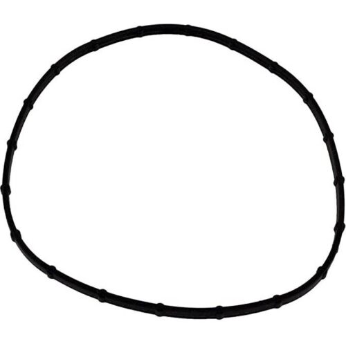 Pentair 05101-0002 Sta-Rite O-Ring Seal