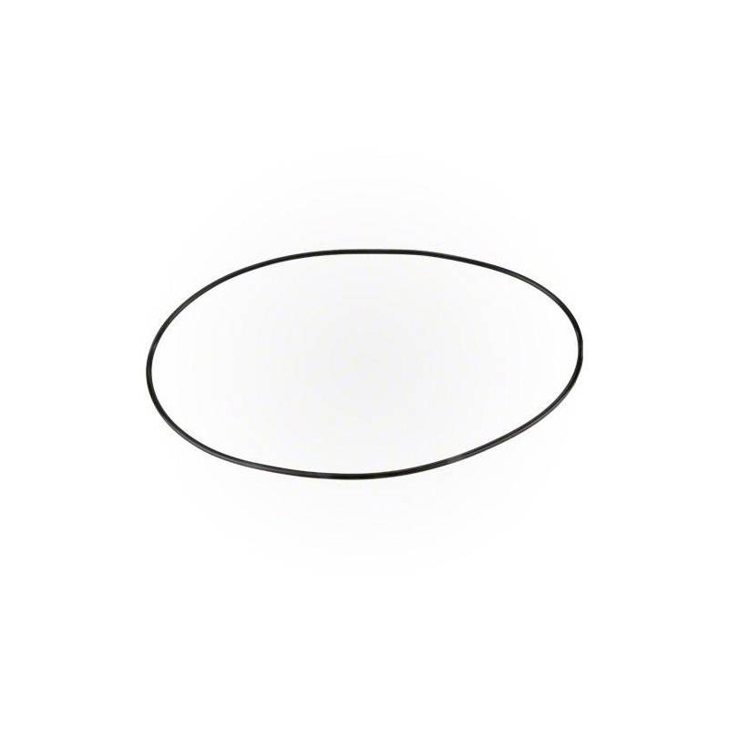 Pentair 521507 Chem Container Lid O-Ring