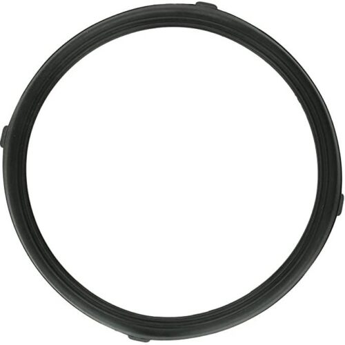 Pentair 619599z AquaLumin III Lens Gasket