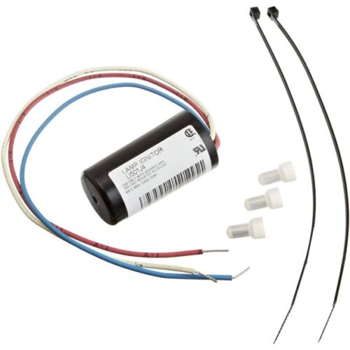 Pentair 619901Z PG2000 Ignitor Kit
