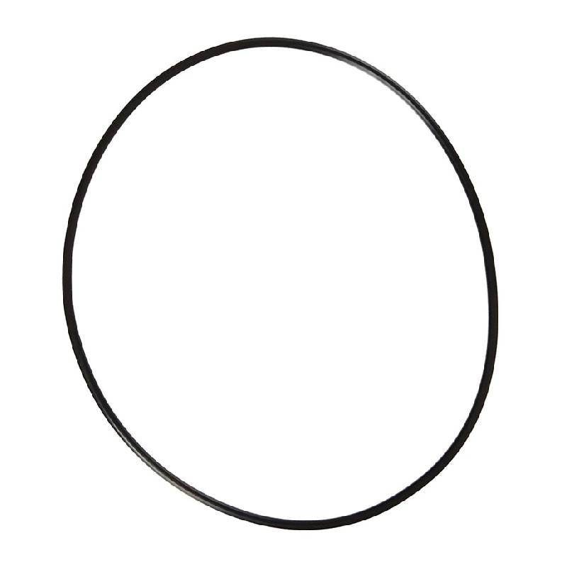Pentair 754000350 Intellichem Flow Jar O-Ring