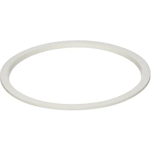 Pentair 78880200 AquaLumin Silicone Lens Seal