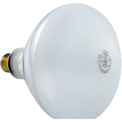 Pentair 79102100Z 500W 120V Bulb Kit