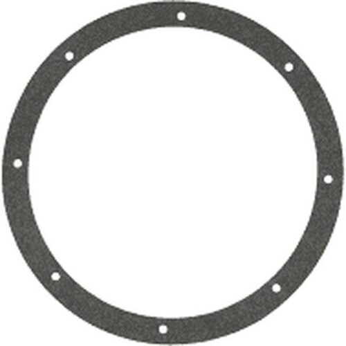 Pentair 79202000 Niche Gasket