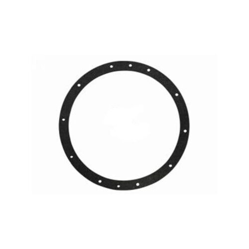 Pentair 79202300 Small Hole Gasket
