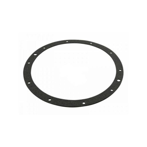 Pentair 79202400 Large Niche Gasket