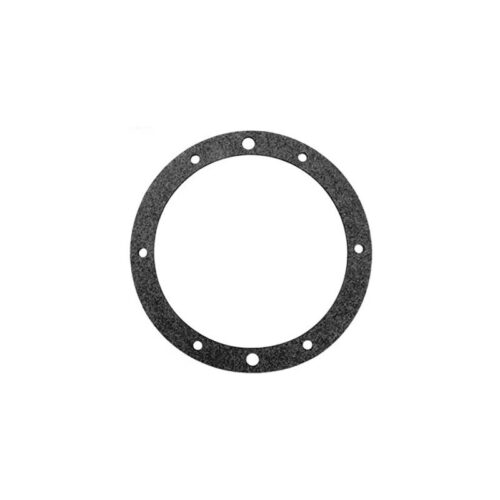 Pentair 79204600 SS Small Niche Single Gasket