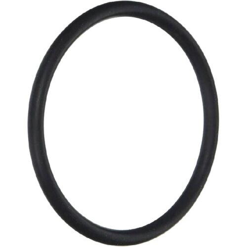 Pentair 79207100 HiLite O-Ring With Instructions
