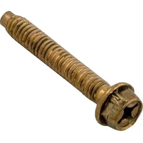 Pentair 79210600 SS Hex Head Bolt