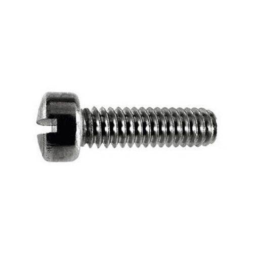 Pentair 98204200 Fillister Head Retainer Screw