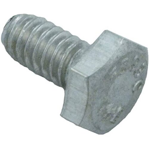 Pentair 98210800 Slotted Hex Head Screw