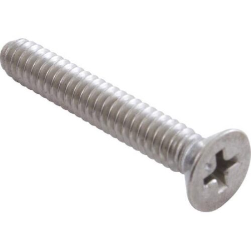 Pentair 98213500 SS Phillips Flt Head Sealing Screw