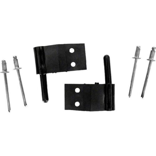 Pentair LXPIN Hinge Pin Set