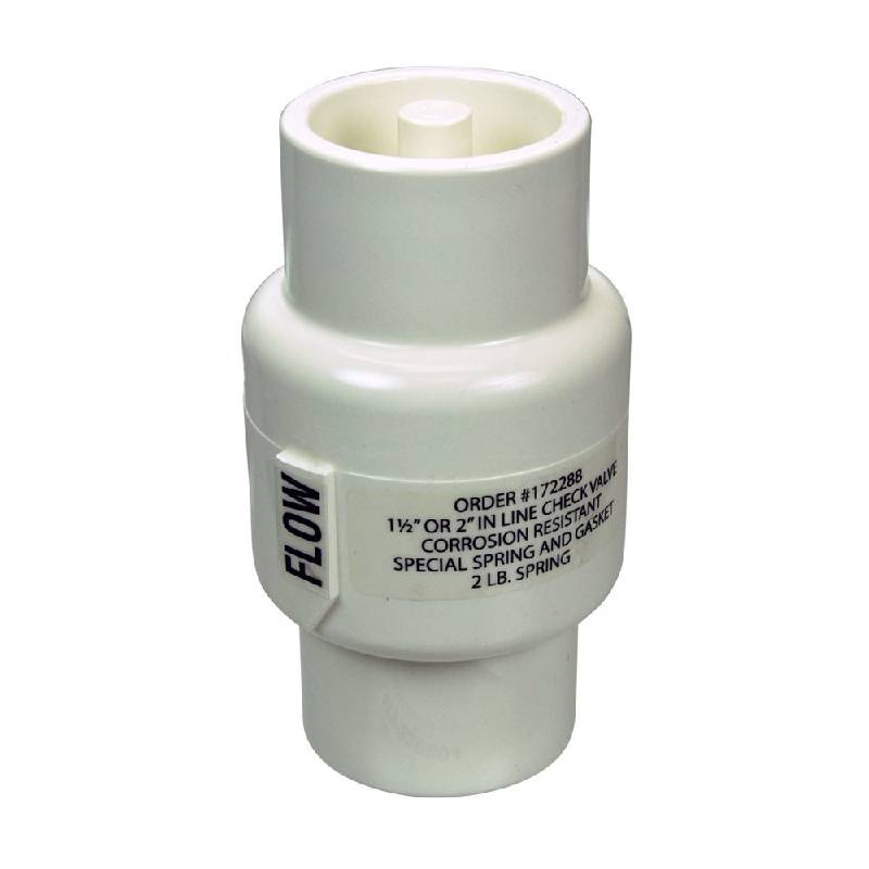 Pentair R172288 Corrosion Resistant Check Valve