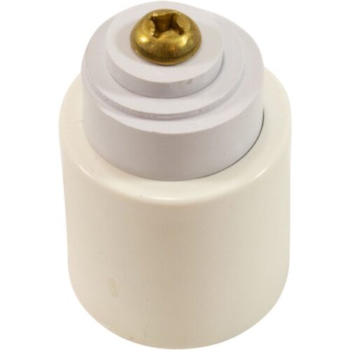 Pentair R191206 White Assembled Cam2