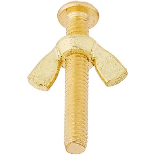 Pentair R221156 Brass Bolt & Wing Nut2