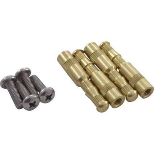 AquaStar BIK4 Brass Insert with Stainless Steel Screw 4 Pack